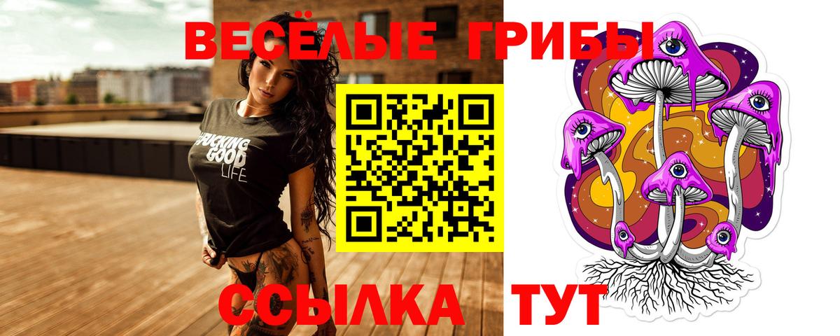 Галлюциногенные грибы Psilocybe Камень-на-Оби
